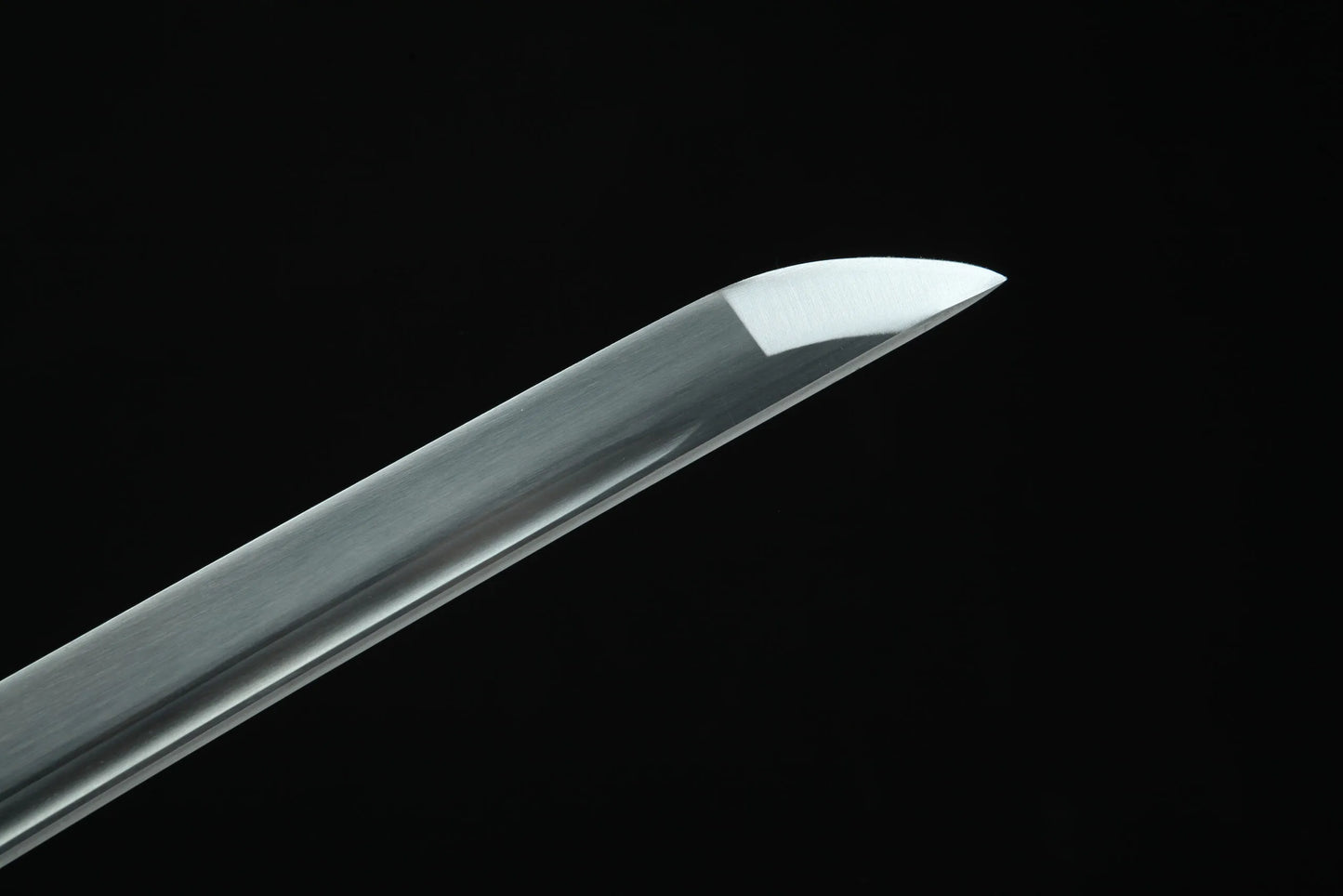 Nagoya Katana (T10 Steel & Genuine Ray Skin)